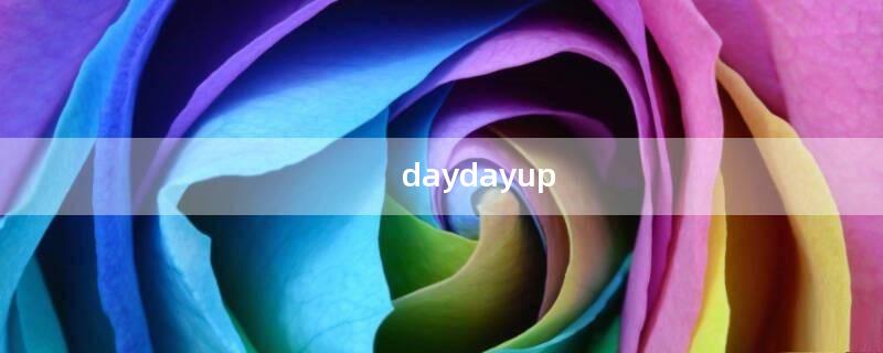 daydayup（daydayup张碧晨）