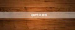 epic中文官网（EPIC怎么调中文）