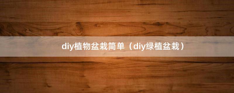 diy植物盆栽简单（diy绿植盆栽）